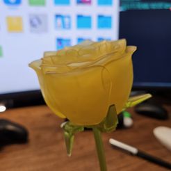 ROSE Mechanised Articulated Flower