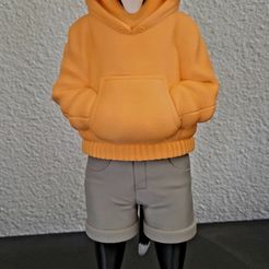 Sylvester Cat Urban Vibes  with Hoodie ( MULTIPARTS AND 3MF )